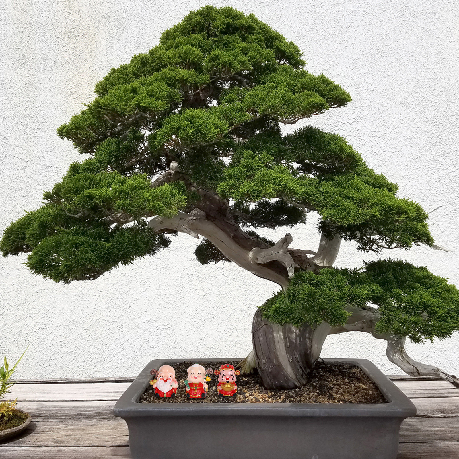 3Pcs Resin Chinese Elder Figur - огляд і ціна Longevity Health & Wellness Hotel Adults Only