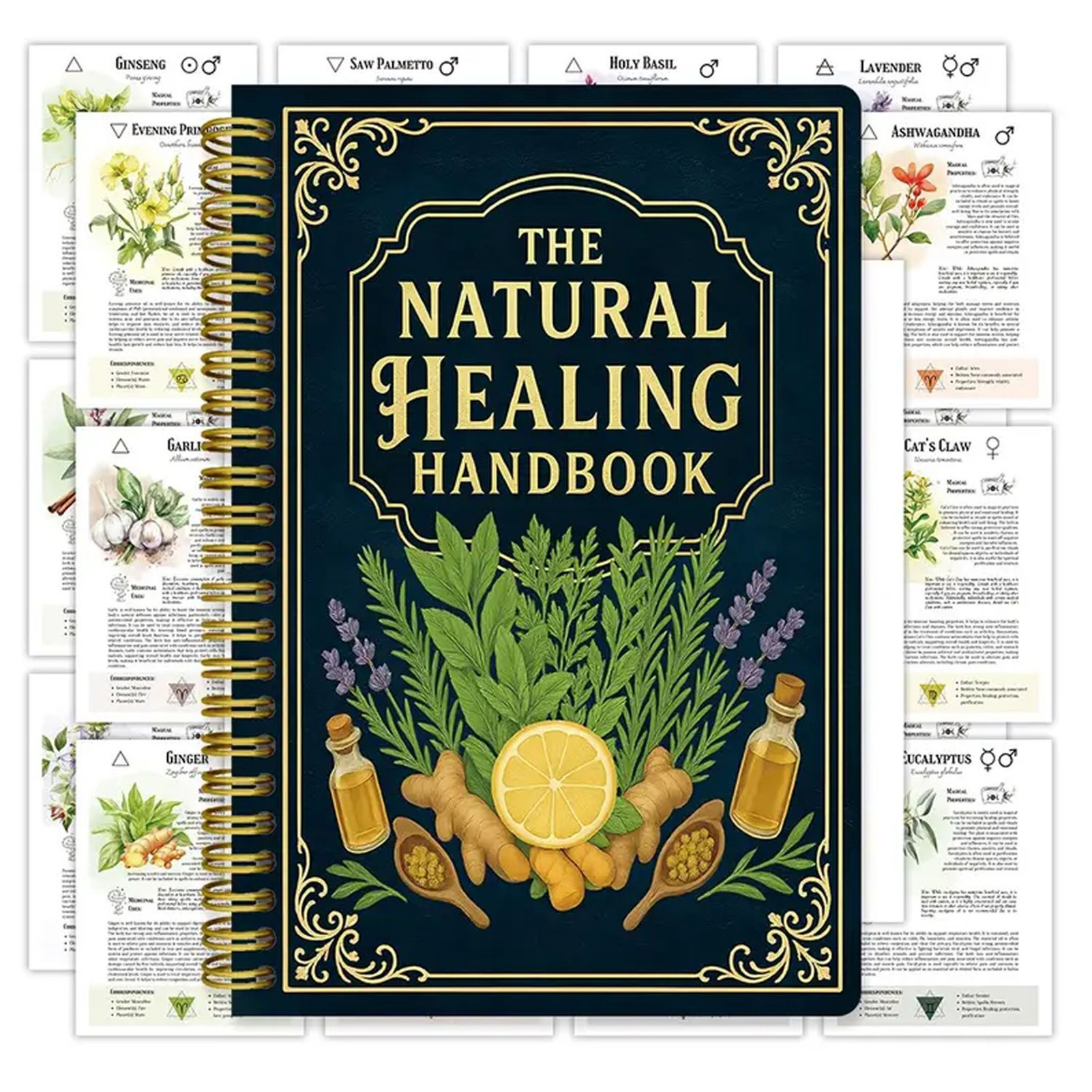 Natural Therapy Handbook, an E - огляд і ціна Health & Wellness Rehab