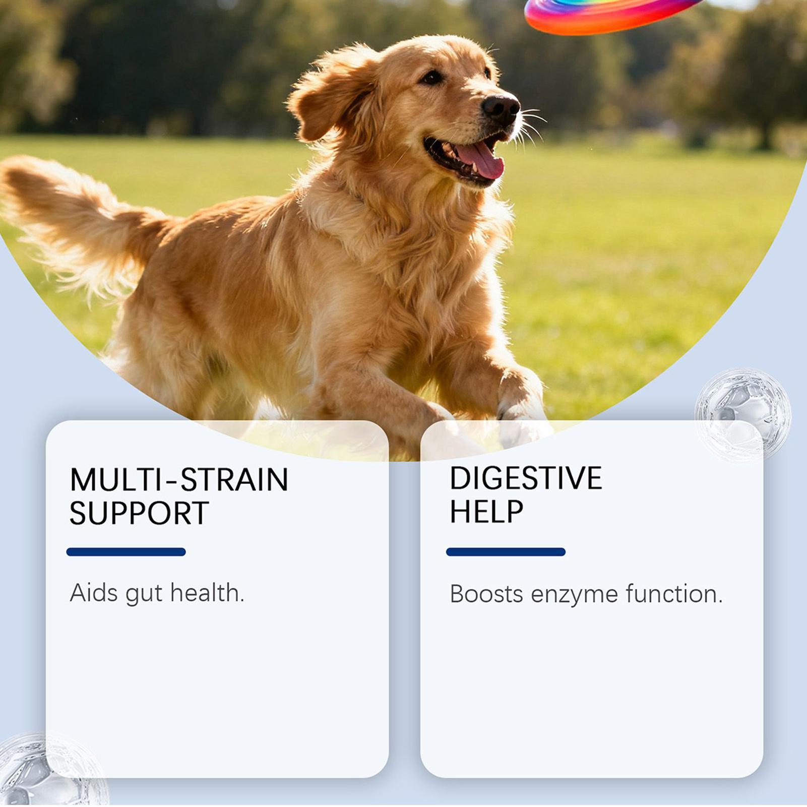 Dog Wellness Bites Healthy Nat - огляд і ціна Health Wellness Food